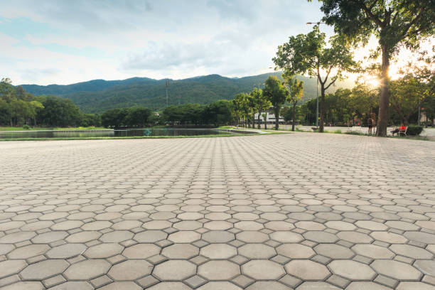 Best Local Driveway Pavers  in Middle Valley, TN